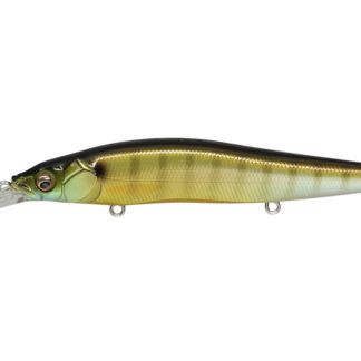 Megabass Vision 110+1 Jerkbait