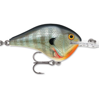 Rapala DT (Dives-To) Series