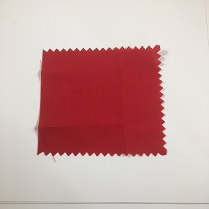 Beaver Dam Red Flag Replacement