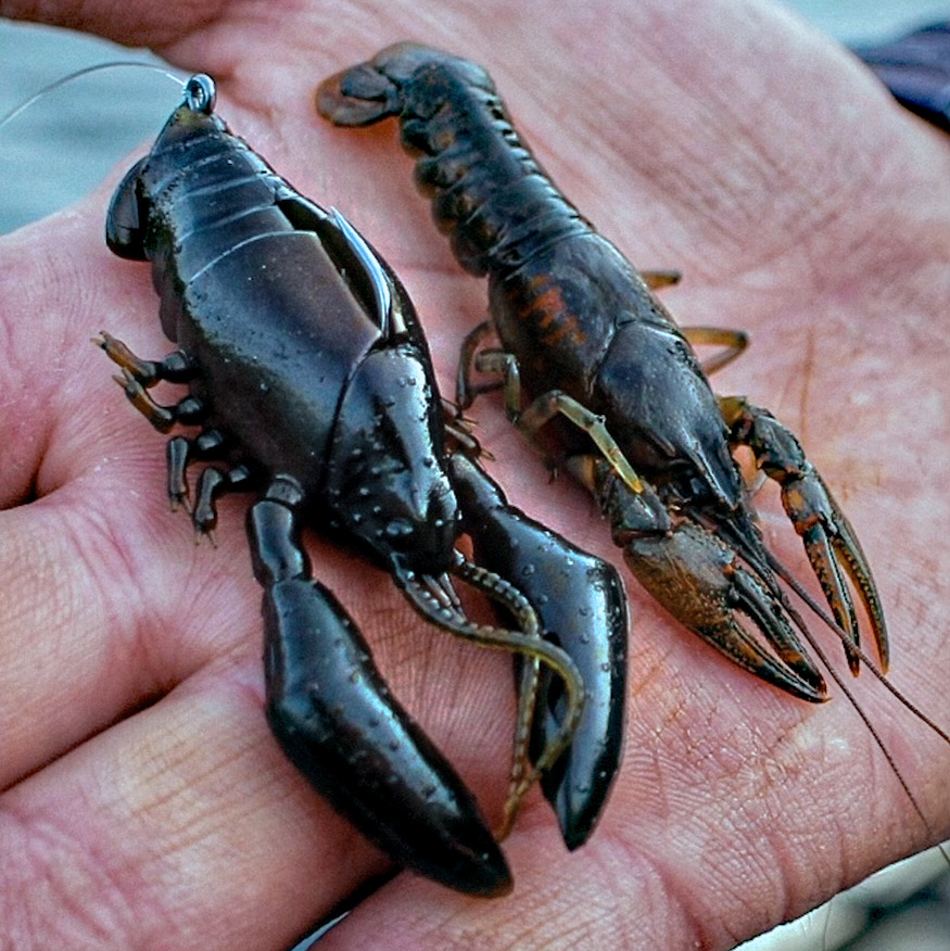 Megabass Sleeper Craw - Image 2