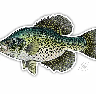 Casey Underwood Fish Decal