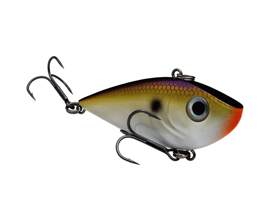 Strike King Red Eye Shad - Image 7