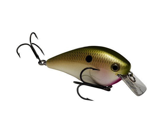 Strike King KVD 2.5 Squarebill Crankbait - Image 9