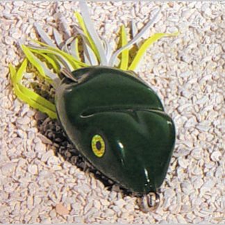 Scum Frog