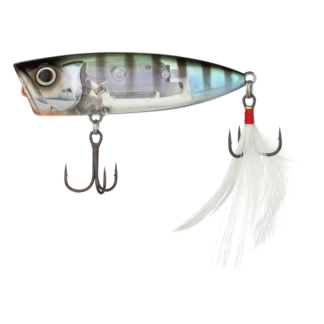 Shimano World Pop 69F Poppers