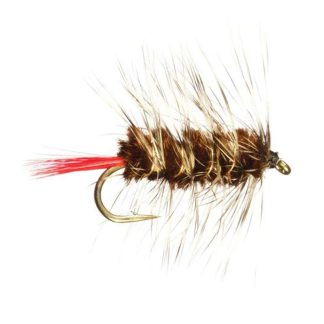 Gapen Wooly Worm Brown #10