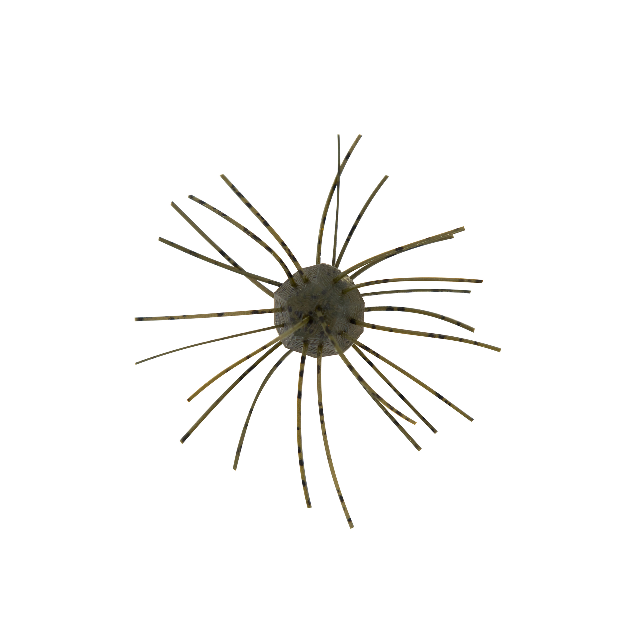 Z-Man Fuzzy NuggetZ - Image 4